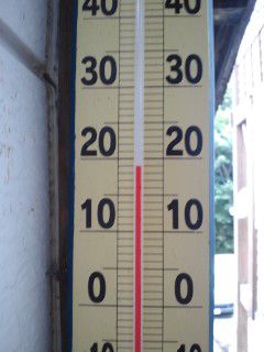 正午の気温19℃って涼しいよりも寒い感じ！？【標高1126米】