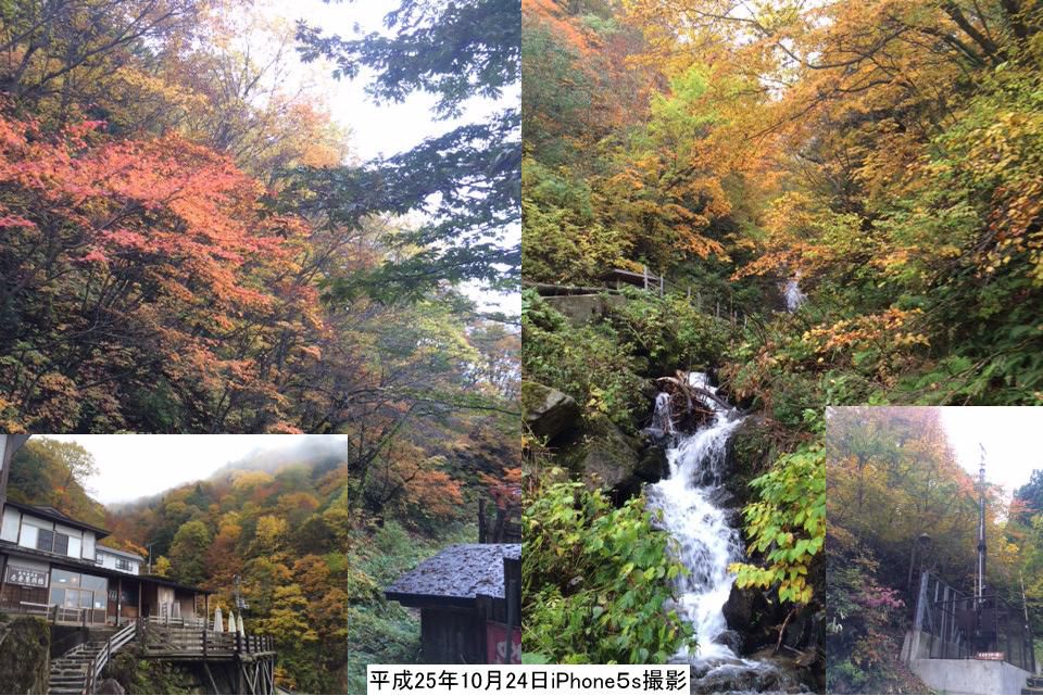 【標高1126m】10月24日現在の紅葉予報　iPhone5ｓ GOLD 32G