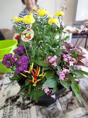  おによめの寄せ植え教室