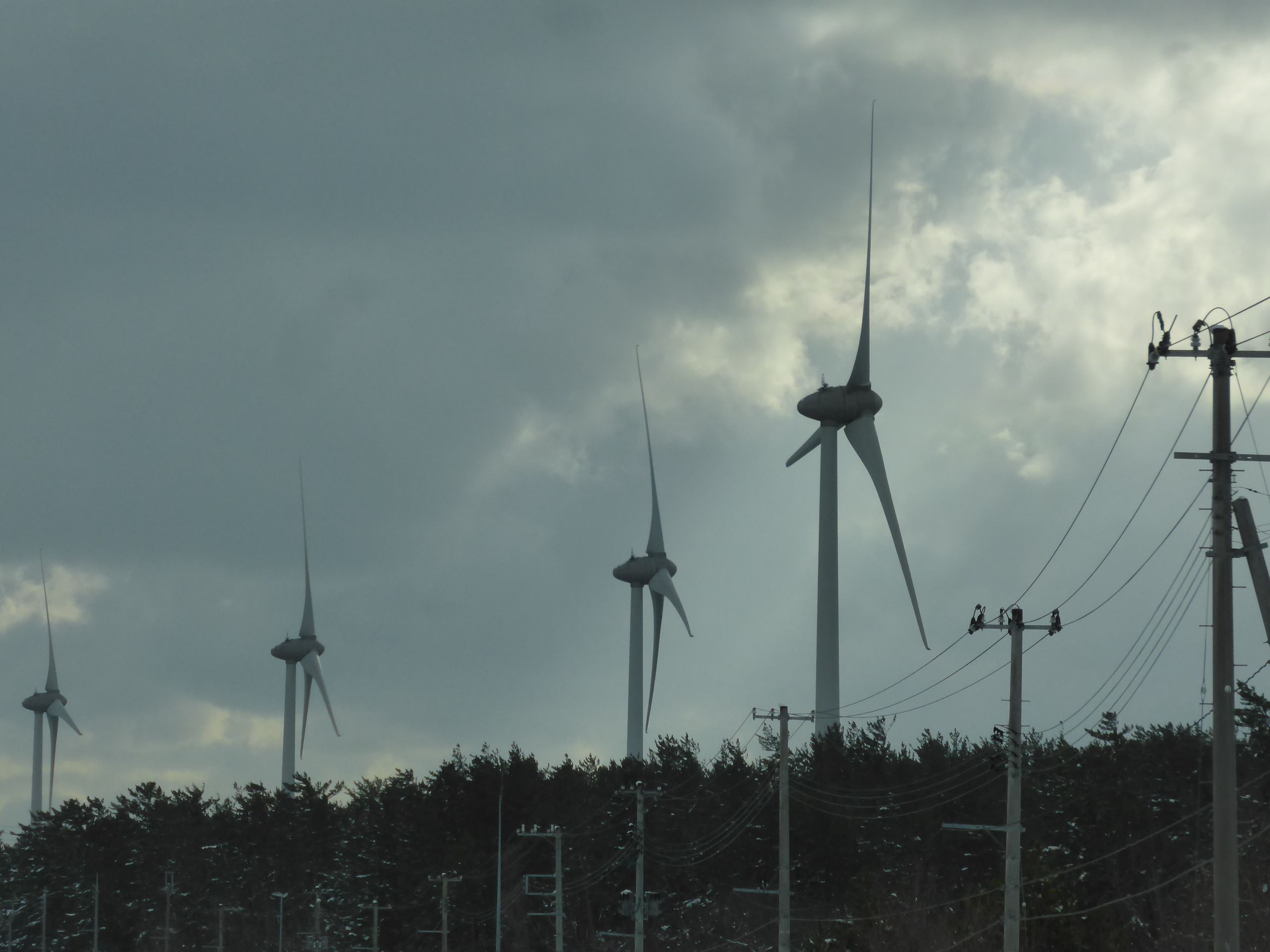 発電条件的には・・・・・
