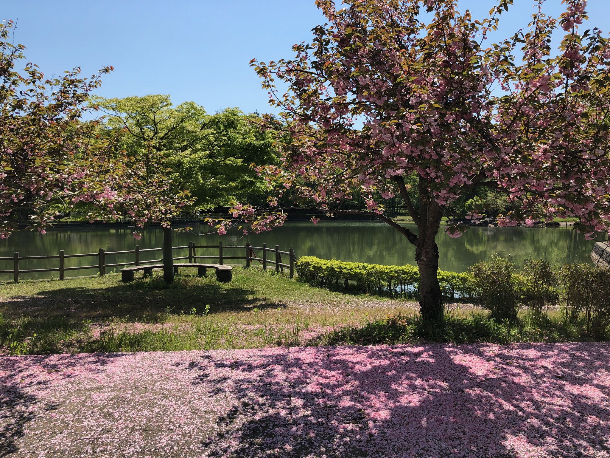 移動中の景色