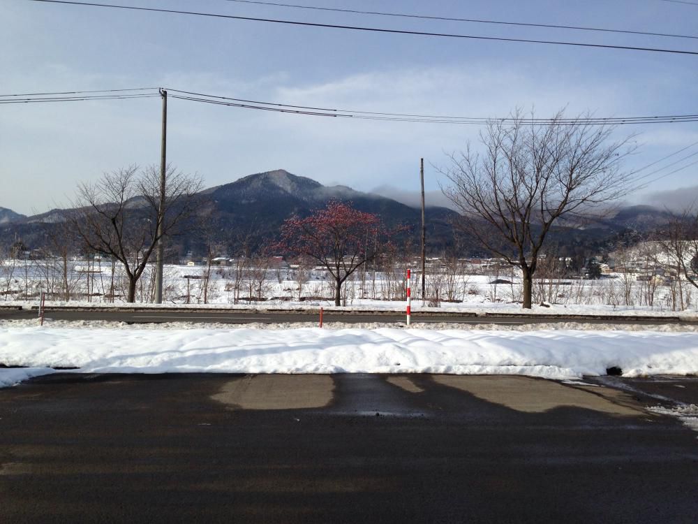 今日から秋田にきてます