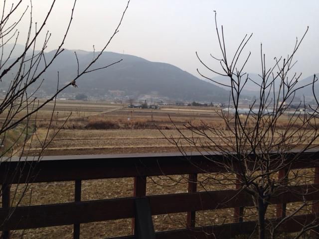 九州に行ってきました