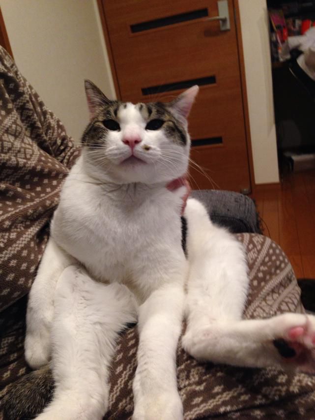 「ヒロシ」