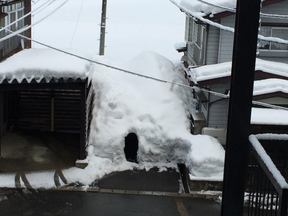 これぞ雪国