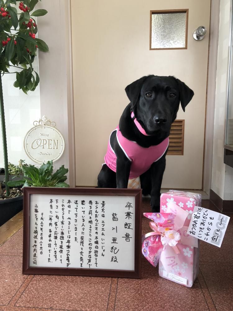 心がトキメクもの！