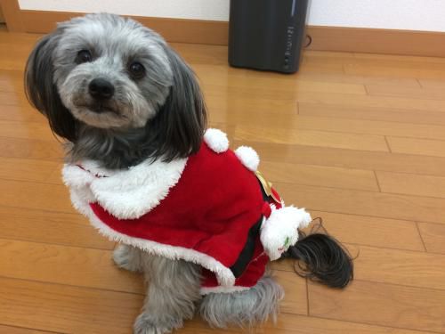 メリークリスマス