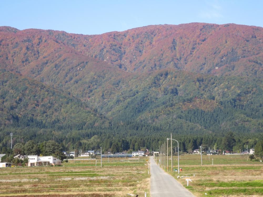 寒くなりましたねぇ・・・。