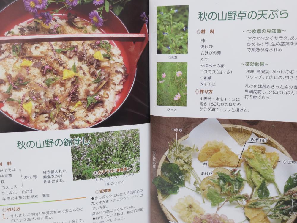 今日の「おらんだのおらんだ人」