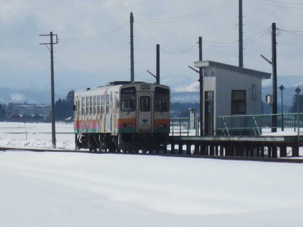 今回の「おらんだのおらんだ人」は・・・。