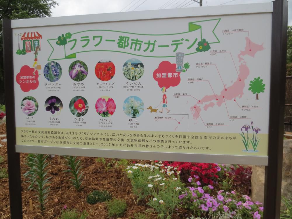 花のまち・長井
