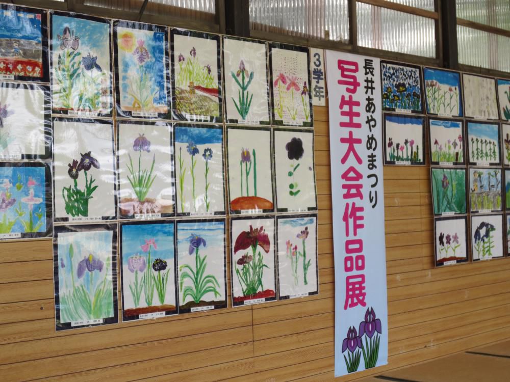 あやめ写生大会の作品展示