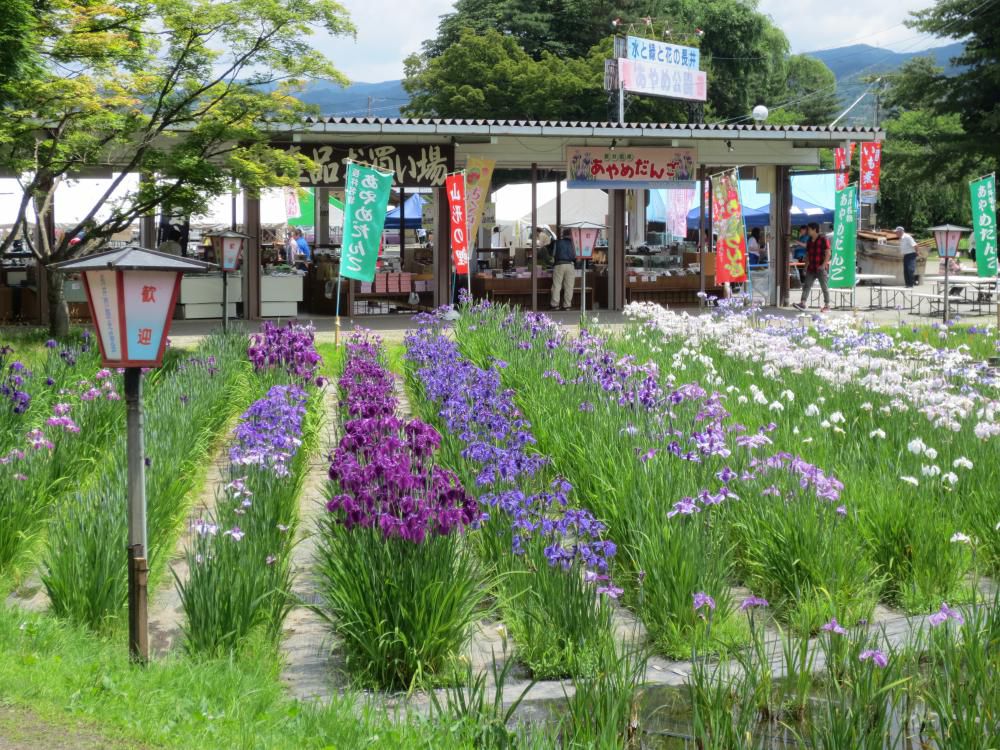 雨の日の過ごし方