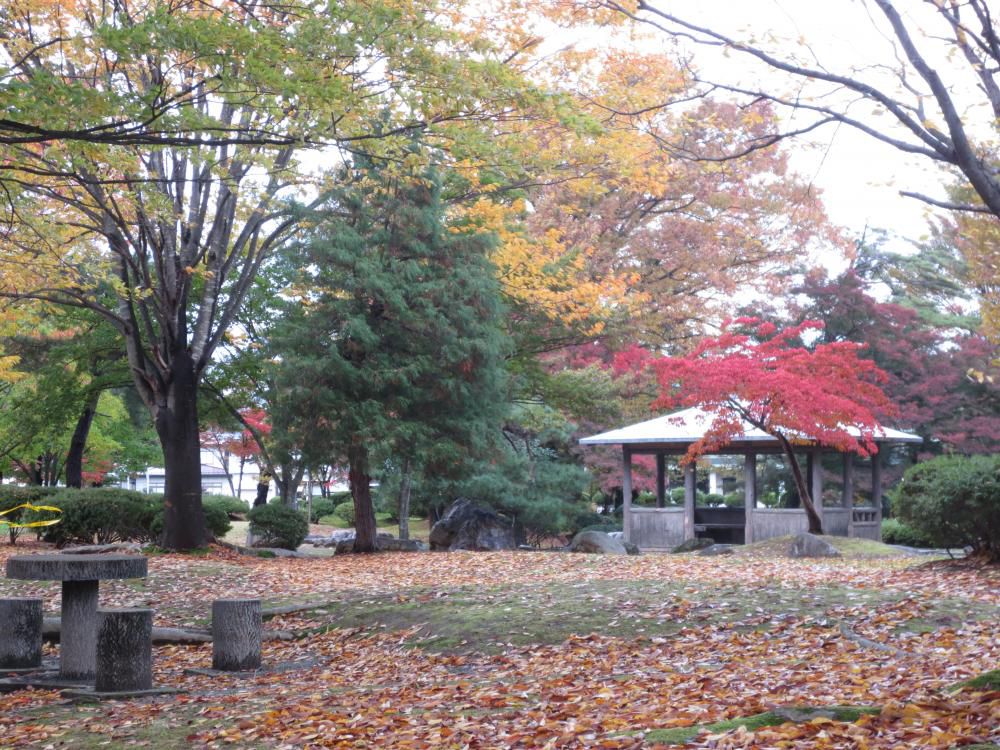 つつじ公園秋景色