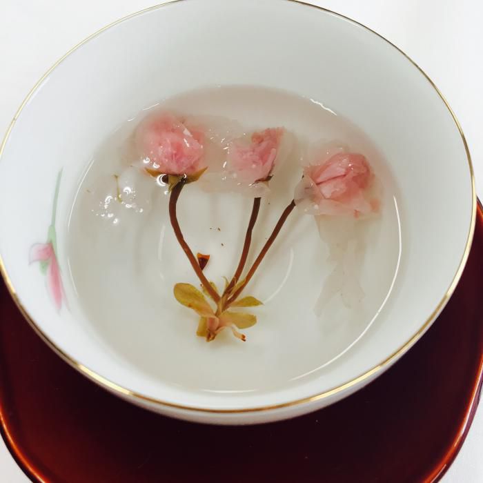 おめでとうございます