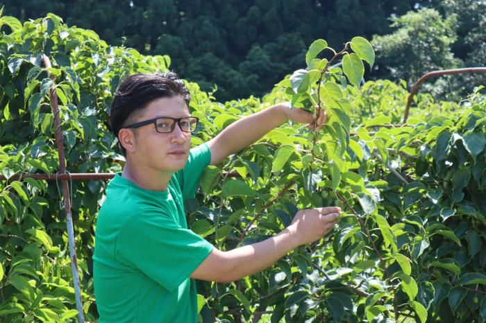 おらんだ専科情報紹介｜飯豊町オリジナル　こくわの紅茶