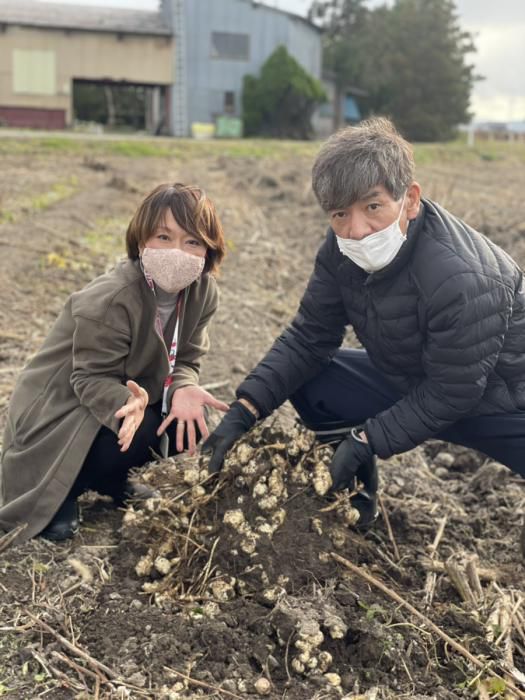 おらんだ専科情報紹介｜長井菊芋研究所