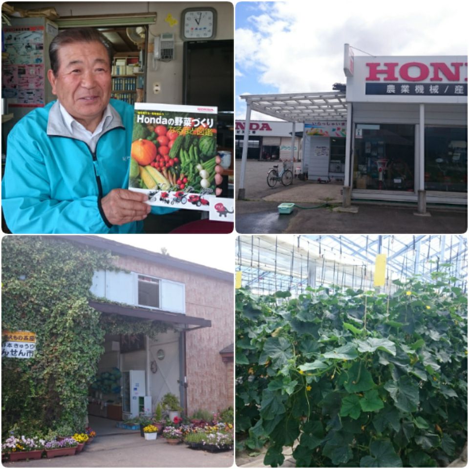 ここがおらんだの銀座通り・平野編