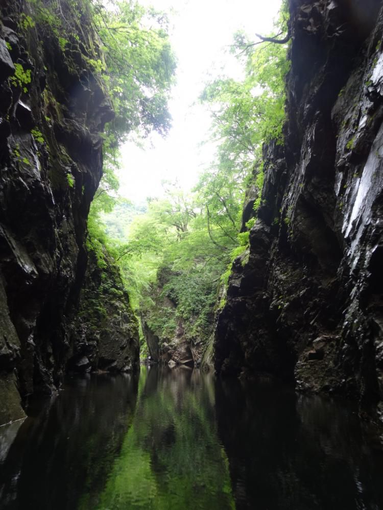 今日のメッセージテーマ・感動した身近な風景