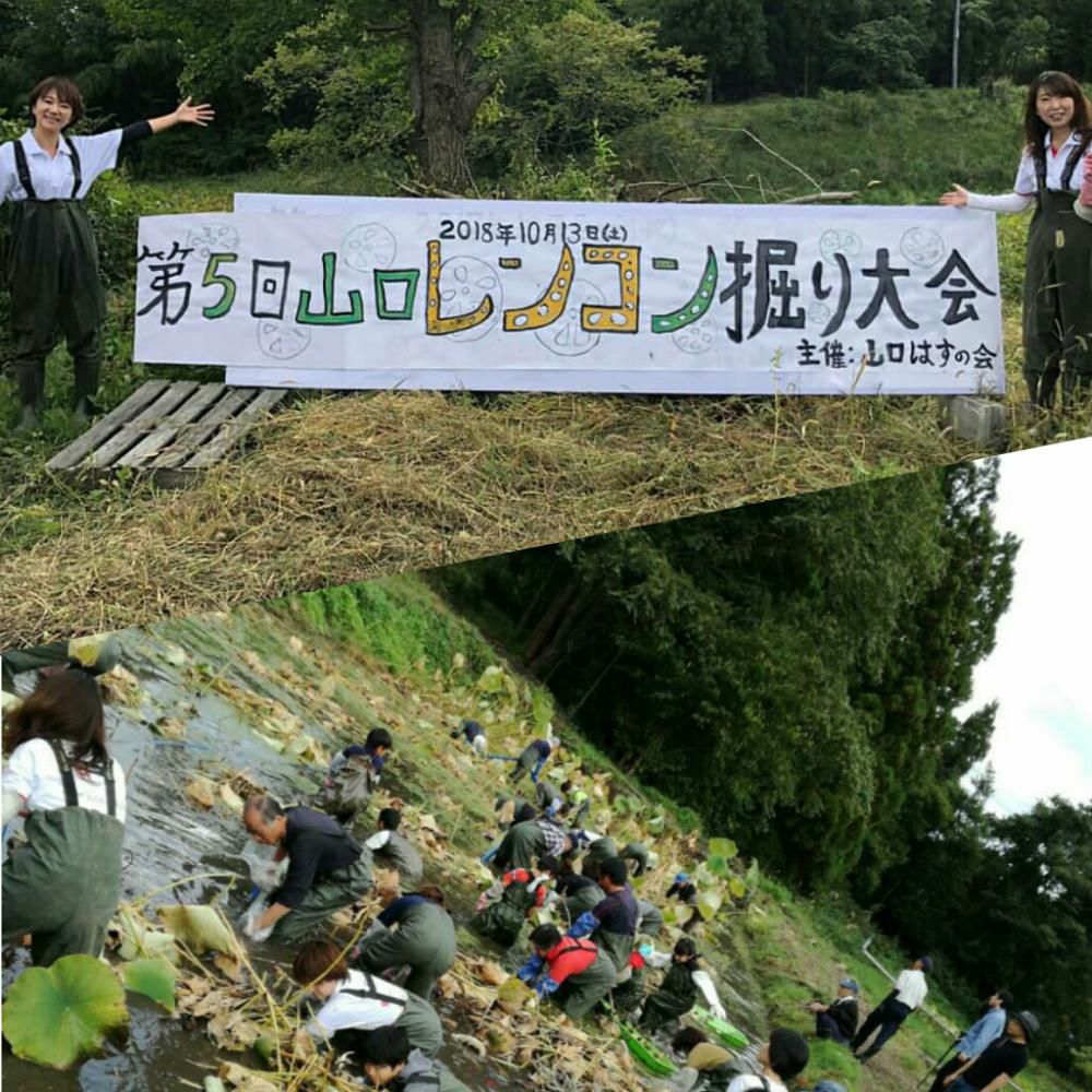 おらんだ専科情報紹介・第五回山口レンコン掘り大会in白鷹町