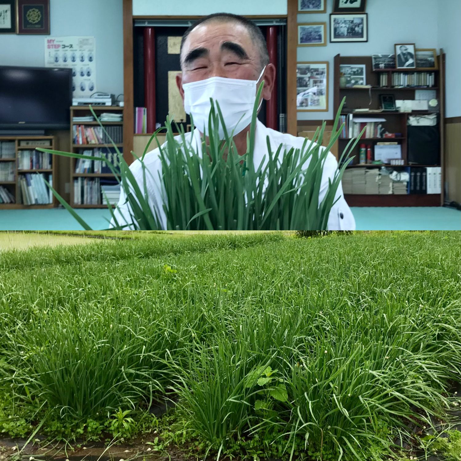 おらんだ専科情報紹介・栄養満点！行者菜特集！