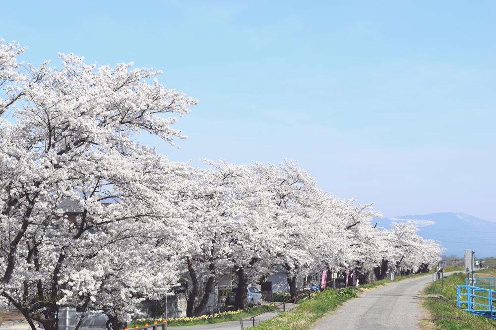 新年度もよろしくお願いします！