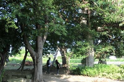宮嶋さんと巡る『田舎歩き写真ツアー』⑥　