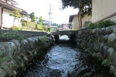 停車場を降りれば　⑮魚になって　