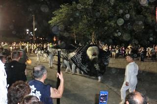 成田黒獅子祭り　⑪いよいよ駅前に獅子登場