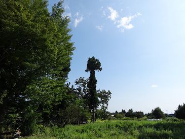 町の魅力ポイント写真帳　Ⅰ町のオブジェ　③