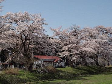 停車場ノート’13－⑤　故郷を離れて・・・