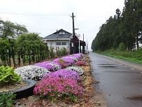 停車場ノート’13－⑦　花の手入れご苦労さま