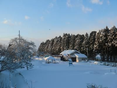吹雪の後には・・・