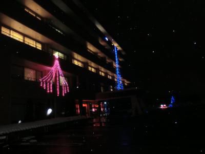 心温まる電飾