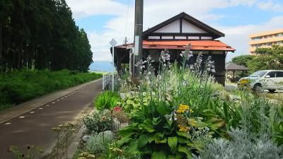 ちょっと早いですが