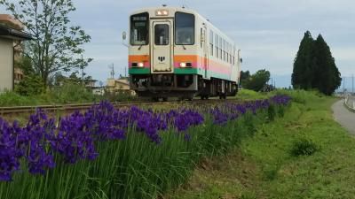 長井線に高貴な藍ライン