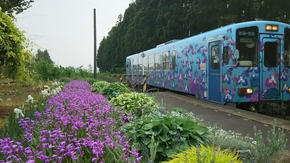 色んな花が咲いてます