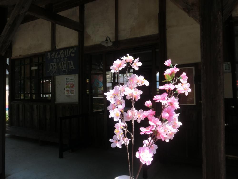 停車場ノート　　夜桜見に来ました