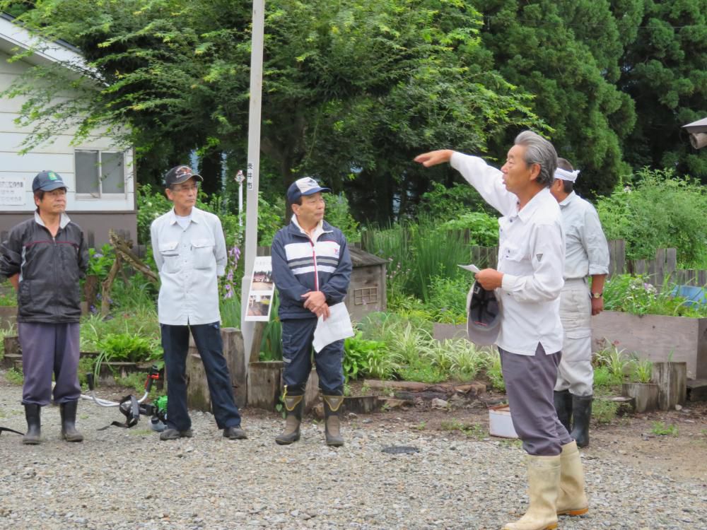 柴刈り隊のあれこれ