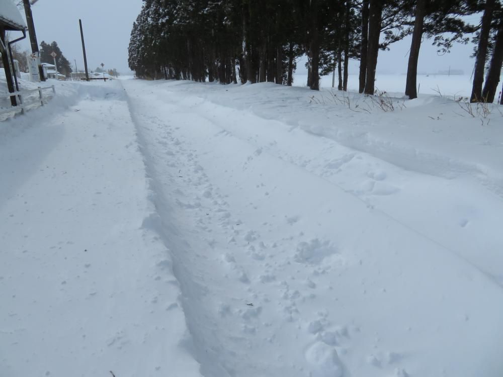 大雪だ、頑張れ山鉄！