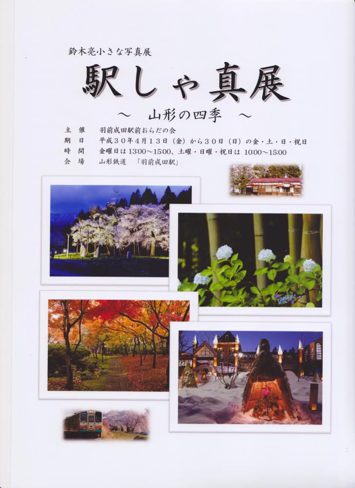 写真展とお花見会のお知らせ