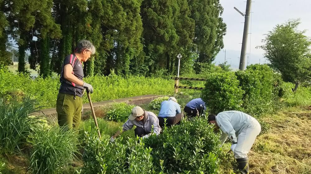 広場の草刈り作業