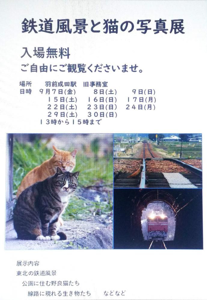撮り人知らずの写真展