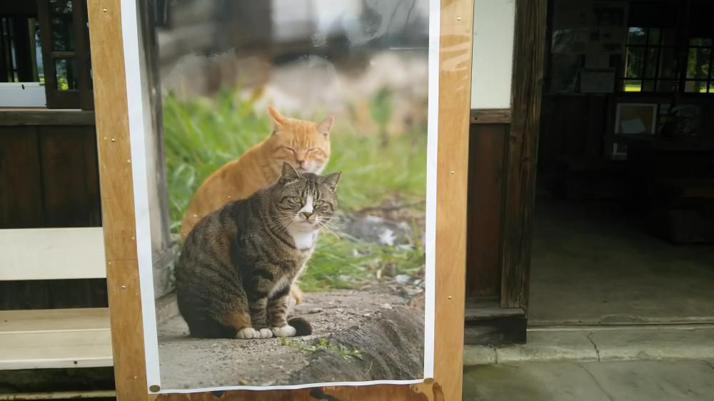 吾輩は猫である