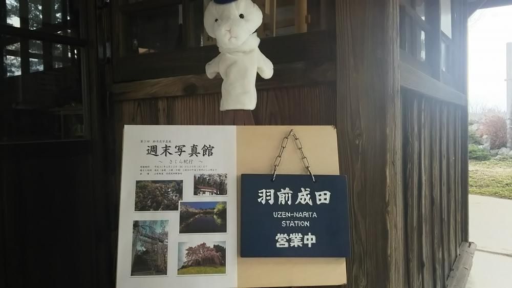 写真展スタート