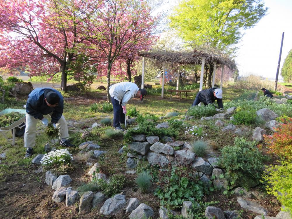 草むしりは「むさい仕事」だなぁ