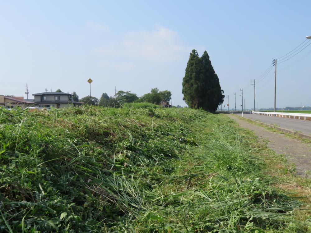 程良い田舎も大変だぁ