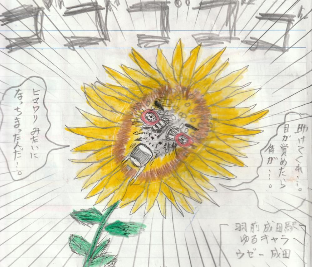 向日葵マン登場！