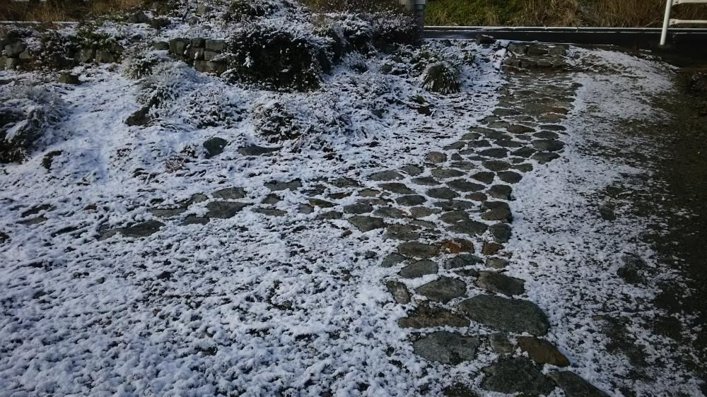 麒麟が現れる？！