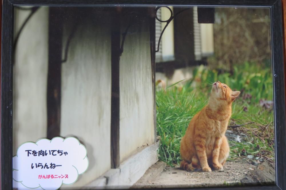下を向いてちゃいらんねぇ